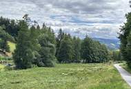 Große Landwirtschaft mit Wiesen und kleineren Wäldern welche zur Zeit als Wildtiergehege genutzt wird, Quadratmeterpreis 2,40 Euro