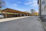 OPEN HOUSE am 01.05 ab 12:00 Uhr, wir bitten um telefonische Voranmeldung