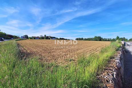 Betriebsgrund in Bergland mit 6.587 m² - Stadtrand Wieselburg - guter Lage, Grund und Boden-kauf, 527.000,€, 3254 Melk