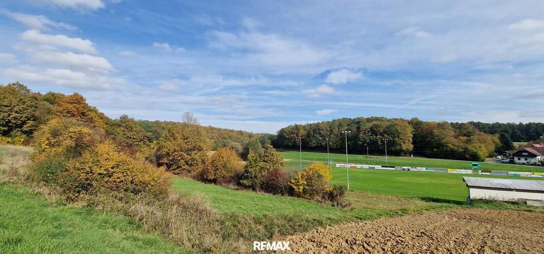 Sonniges Grundstück in Eltendorf Südburgenland – Ruhe und Natur genießen. Landwirtschaftliche Grünfläche