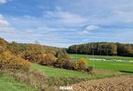 Sonniges Grundstück in Eltendorf Südburgenland – Ruhe und Natur genießen. Landwirtschaftliche Grünfläche