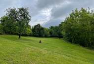 Leben im Grünen: Nachhaltige Liegenschaft mit Bauernhaus viel Land und Selbstversorger-Potenzial!