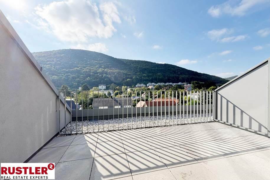 Diesen Ausblick immer genießen können!, Wohnung-kauf, 799.000,€, 2371 Mödling