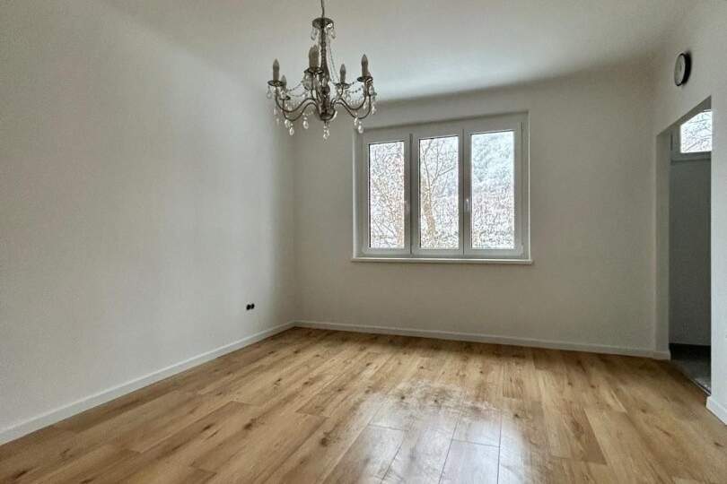 Renovierte 1-Zimmer-Wohnung in Mödlings Bestlage, Wohnung-kauf, 169.000,€, 2340 Mödling
