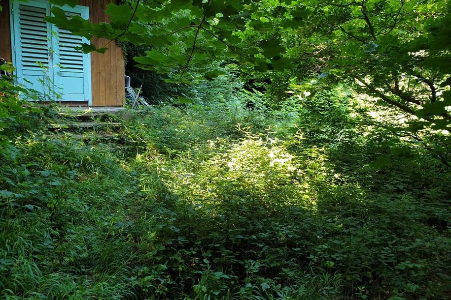 Ruhiges Kleingartengrundstück am Waldrand, Grund und Boden-kauf, 399.000,€, 1170 Wien 17., Hernals