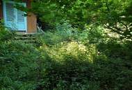 Ruhiges Kleingartengrundstück am Waldrand