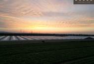 Gepflegtes Haus mit Garten, Pool und Wellness