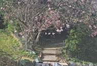 Restaurierter Dreikanthof in der Oststeiermark: ländlicher Charme trifft Lebensqualität!