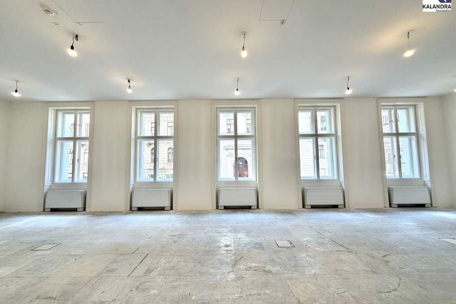 REPRÄSENTATIVES BÜRO NAHE RATHAUSPLATZ, Gewerbeobjekt-miete, 19.734,00,€, 1010 Wien 1., Innere Stadt