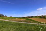 Top Preis - Grundstück in Ruhelage mit Panoramablick zum Kauf!