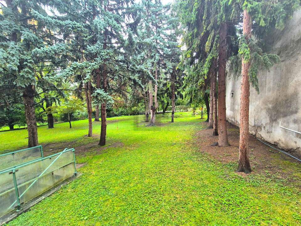 WOHNOASE MIT GRÜNBLICK UND WOHLFÜHLATMOSPHÄRE