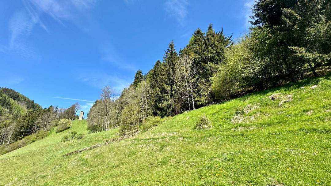 Sonniger Wiesenhang in Hüttenberg