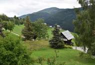 Gepflegte Natur - hier schöpfe ich neue Kraft in den Bergen