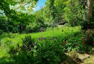 Ob alte Villa-neuer Bau, auf Riesengrund nach Süden schau!