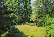 "NEUER PREIS!" ROMANTISCHES EINFAMILIENHAUS IN BESTER LAGE