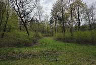 Naturjuwel im Südburgenland