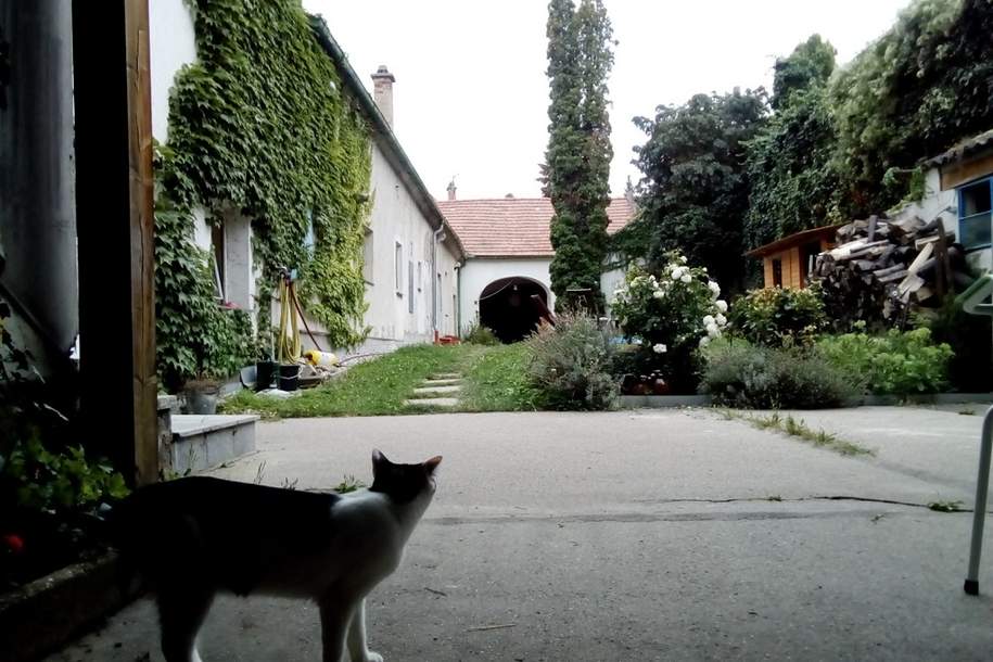 Innenhofwohnung beim Wienertor innerhalb der Stadtmauer, Wohnung-miete, 690,00,€, 2410 Bruck an der Leitha