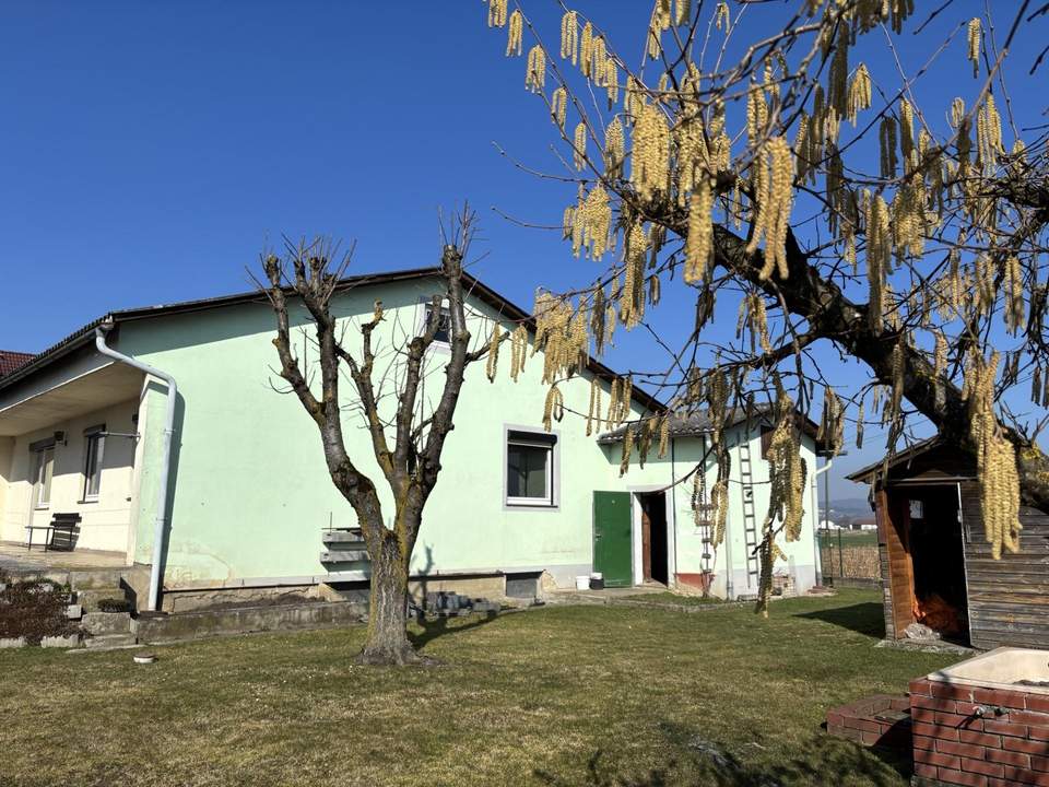 Mein Bastlerhit – Kompaktes Haus mit viel Potenzial