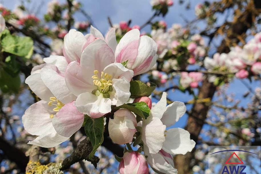 ca. 70 m² Wohnung nähe Gebietskrankenkasse Wels zu vermieten! Euro 690,-, Wohnung-miete, 690,00,€, 4600 Wels(Stadt)