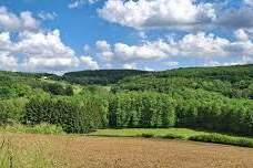 Wald & Wiese, Grund und Boden-kauf, 7545 Güssing