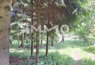 Großes Grundstück mit Fischteich und Badeteich, Erholungsanlage, Freizeitparadies mit viel Potenzial