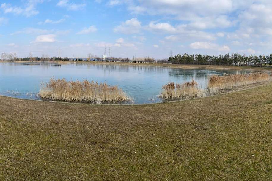 BAUGRUNDSTÜCK AM FÖHRENSEE IN TRASDORF INMITTEN DER NATUR AN FELDER DER REGION ANGRENZEND, Grund und Boden-kauf, 145.000,€, 3452 Tulln