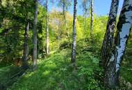 "NEUER PREIS!" AUFGESCHLOSSENER BAUGRUND IN RUHIGER WALDRANDLAGE