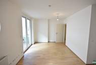 Schöne 1-Zimmer-Wohnung mit Balkon direkt an der Donau