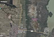 Wiese in Mörbisch, Blick über den ganzen Neusiedler See: 1219m²