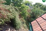 Uriges Unikat - Presshaus mit Weinkeller unweit von Krems