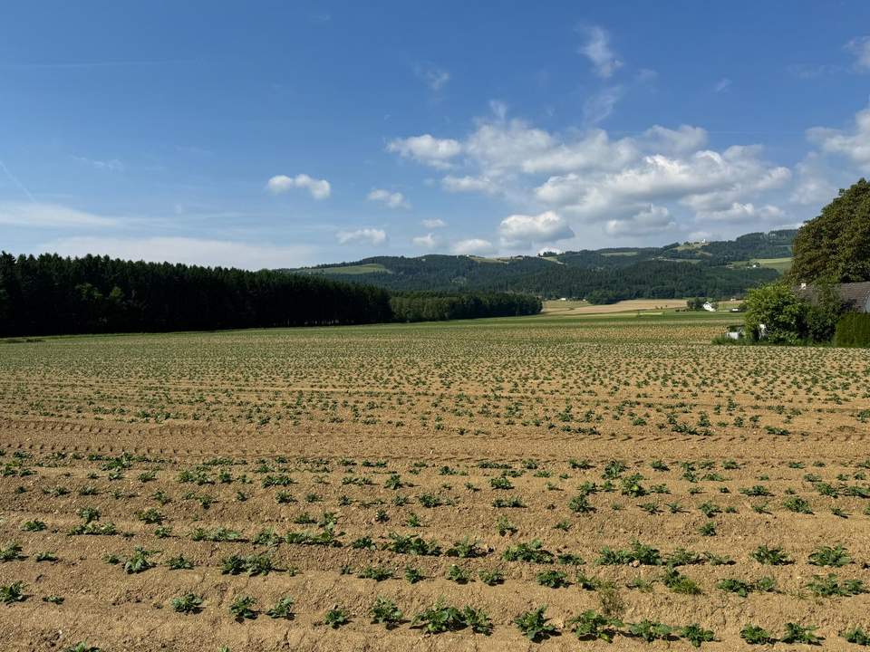 Attraktives Baugrundstück mit Entwicklungspotenzial – schöne Lage in St. Marein Nähe Wolfsberg