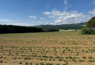 Attraktives Baugrundstück mit Entwicklungspotenzial – schöne Lage in St. Marein Nähe Wolfsberg