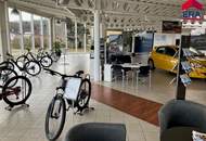 Kooperation gesucht - Teilanmietung - Moderner KFZ Betrieb in Mistelbach