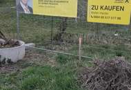 Erstbezug 5-Zimmer Eigentumswohnung