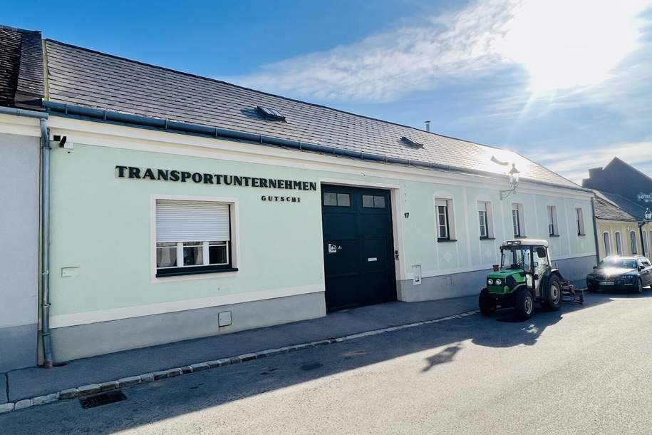 Winzerhaus auf 1126 m2 Baugrund mit Weinkeller, Haus-kauf, 1.299.000,€, 2352 Mödling