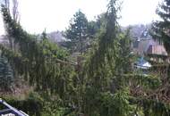 2 Zimmer nähe Türkenschanzpark