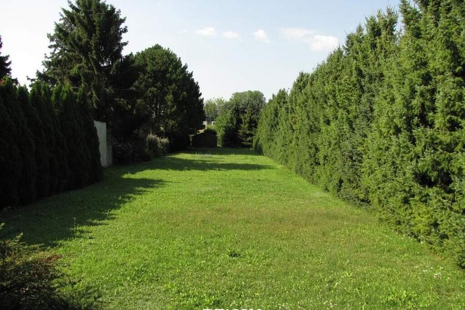 Idyllisches Grundstück in Wildungsmauer, Grund und Boden-kauf, 389.000,€, 2403 Bruck an der Leitha