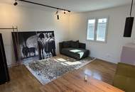 STEINBRUNN – SEE III a Idyllisches, renoviertes Seehaus am Leopoldinen See auf Pachtgrund zu verkaufen