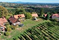 Ein eigenes Reich hoch über den Weinbergen in Plateaulage - alte weststeirische Baukultur trifft neue Ausbaumöglichkeiten