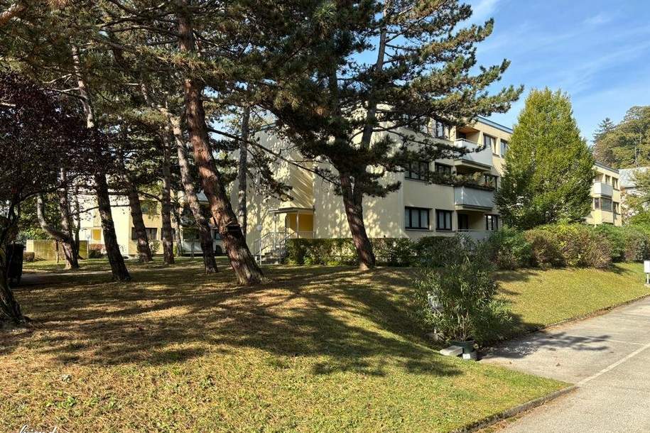 Familienwohnung mit Potential, Wohnung-kauf, 259.000,€, 1230 Wien 23., Liesing