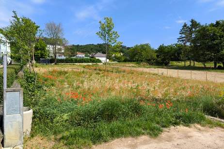 Baugrund in bester Lage mitten in Eisenstadt (Oberberg) – 729 qm (GST 3474/2, KG 30008) (Provisionsfrei), Grund und Boden-kauf, 328.000,€, 7000 Eisenstadt(Stadt)