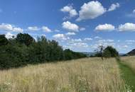 Baugrund mit entsprechenden Auflagen - WALDBADEN in Bad Blumau!