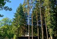 Ruhig, grün und sonnig! Schöner Baugrund Nähe Bad Erlach