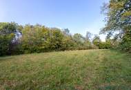 ERSTBEZUG nach Sanierung mit Blick auf Schloss Laudon | ca. 16 m² Loggia | Garagenplatz | Vollausgestattete Küche | Erholungsgebiet angrenzend