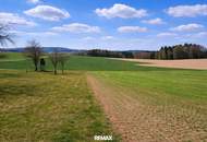 Liegenschaft mit ca. 20 ha landwirtschaftliche Nutzflächen