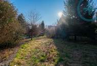 Rohdiamant mit 795m² Traumgrund