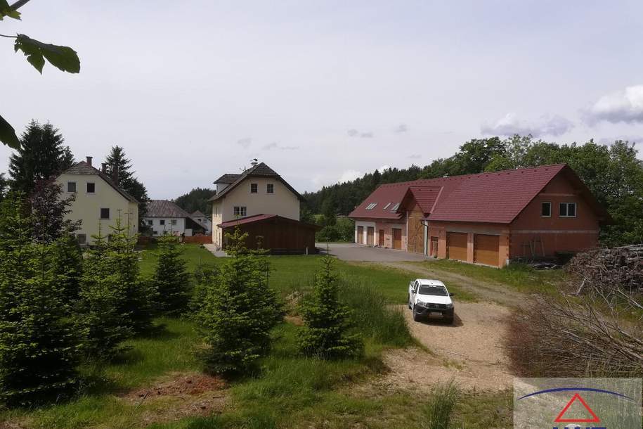 Großes Anwesen mit viel Wald in traumhafter Lage!, Haus-kauf, 1.180.000,€, 4371 Perg