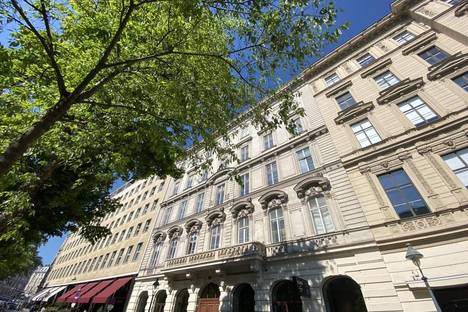 Repräsentativer ALTBAU + am STADTPARK + nächst Kursalon Hübner und Schwarzenbergplatz + sehr viel FLAIR!, Wohnung-miete, 3.250,00,€, 1010 Wien 1., Innere Stadt
