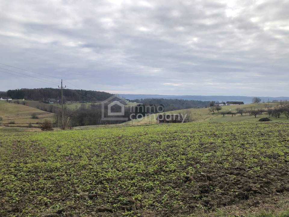 DAS Platzerl, das alle suchen - Baugrund -