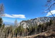 Alpines Neubau-Chalet in Rundstammbauweise mit Freizeitwohnsitz – Ihr Rückzugsort in den Karawanken